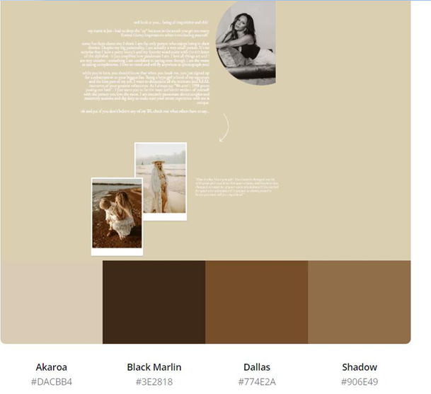 esquema de color neutral del sitio web