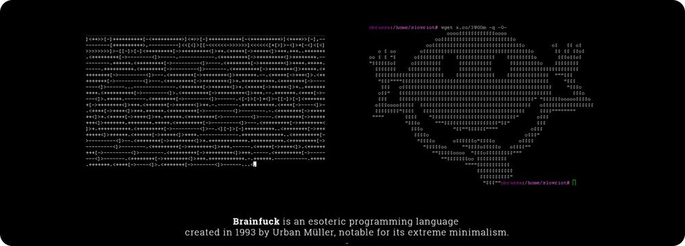 Rebranding: Welcome to Creative Tim New Logo