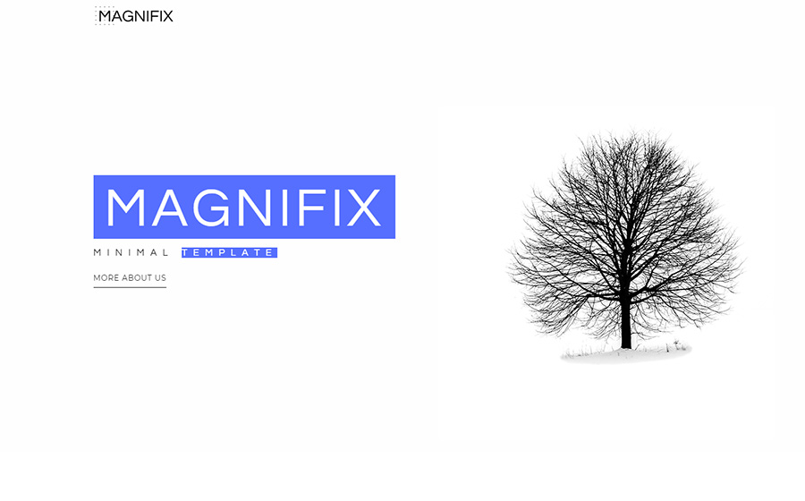 Magnifix - Creative Minimal Elementor WordPress Theme