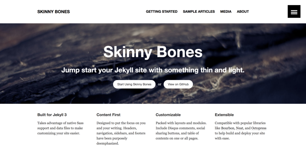 skinny bones theme preview
